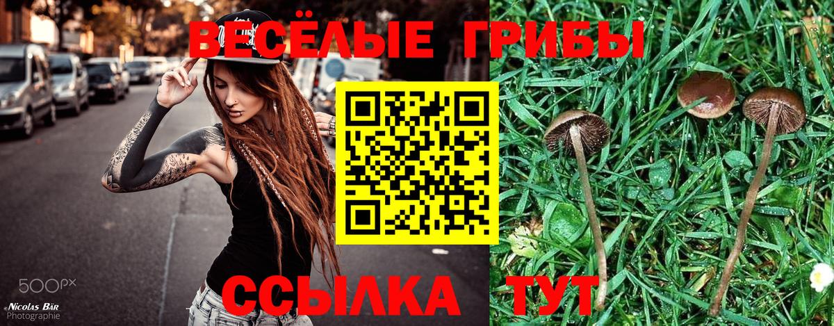 Галлюциногенные грибы Cubensis Кизляр
