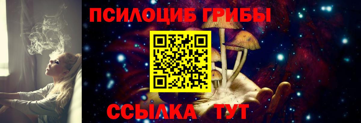 Галлюциногенные грибы Cubensis  Вход с VPN  Кизляр  Псилоцибиновые грибы Psilocybine cubensis 